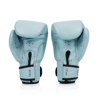 FAIRTEX Baby Blue Boxing Gloves (BGV20) - 12oz