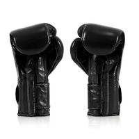 FAIRTEX - "Heavy Hitter" Mexican Style Boxing Gloves (BGV9) - Black/12oz