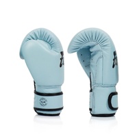 FAIRTEX Baby Blue Boxing Gloves (BGV20) - 10oz