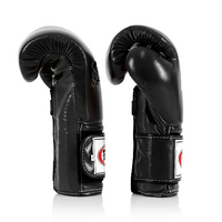 FAIRTEX - "Heavy Hitter" Mexican Style Boxing Gloves (BGV9) - Black/12oz