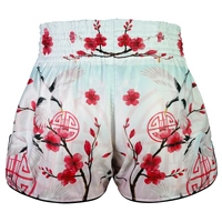 TUFF - 'The Red Crane' High-Cut Retro Muay Thai Shorts - Extra Large
