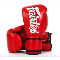 FAIRTEX - BGV14 Microfibre Boxing Gloves (BGV14) - Black/12oz 