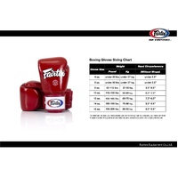 FAIRTEX Baby Blue Boxing Gloves (BGV20) - 10oz